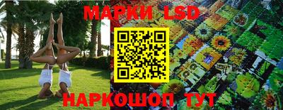 стафф Нальчик