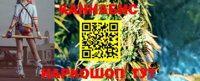 стафф Нальчик