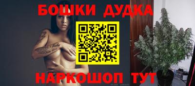 стафф Нальчик
