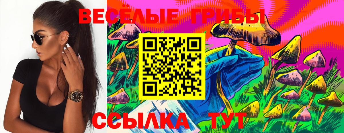 Тавда  Псилоцибиновые грибы Magic Shrooms  Вход с VPN 