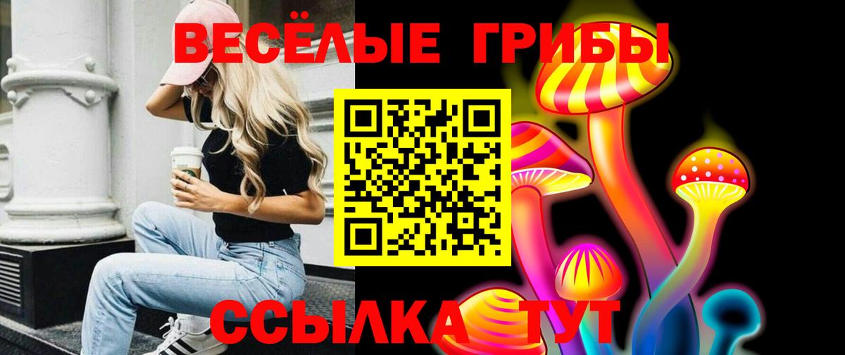 Псилоцибиновые грибы MAGIC MUSHROOMS Тавда